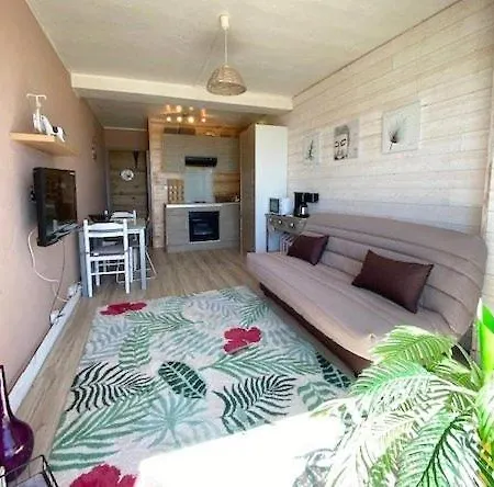 Superbe Studio Face Mer 2lvc27 Stunning Flat Sea View *